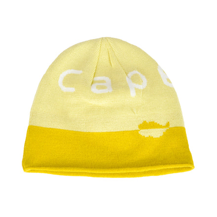 beanie #2